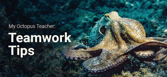 418a05bd cdda 4dfe a860 8a946e267823 1