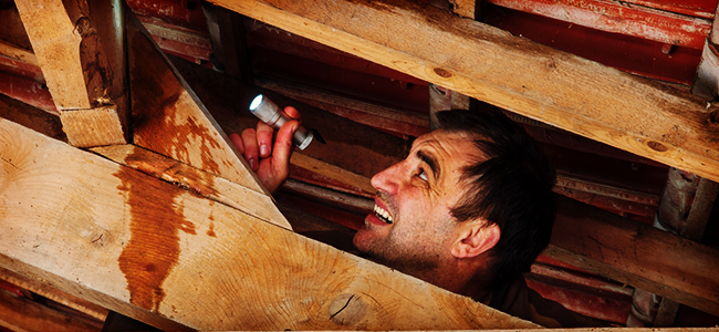 fuite d'eau suite tuile mécanique cassé